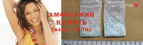 крисы Надым