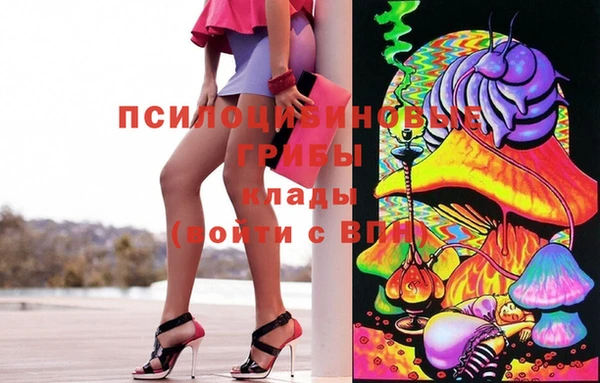 прущая мука Алзамай