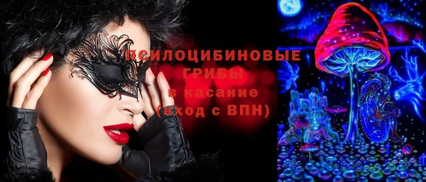 герыч Алексин