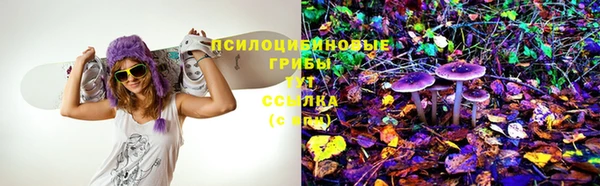 герыч Алексин
