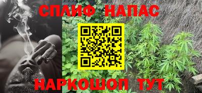 спиды Дубна