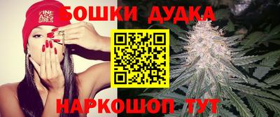 прущие грибы Донецк