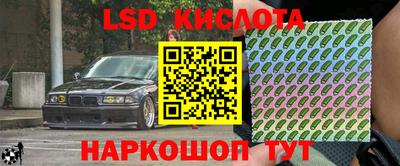 эйфоретик Донской