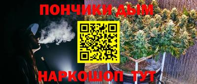 спиды Дубна