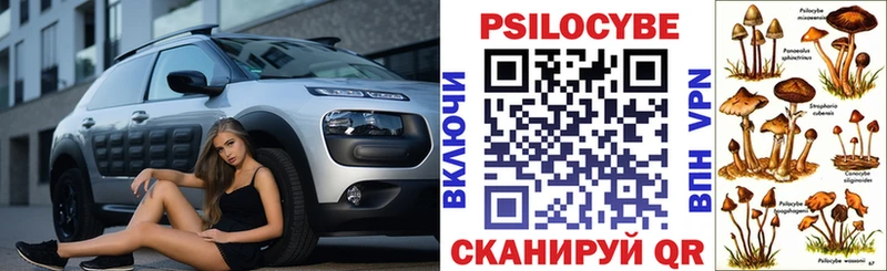 Галлюциногенные грибы прущие грибы  Ставрополь 