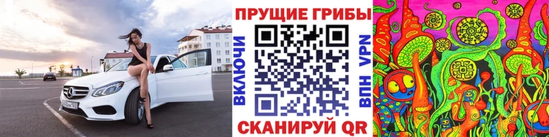 Галлюциногенные грибы прущие грибы Ставрополь