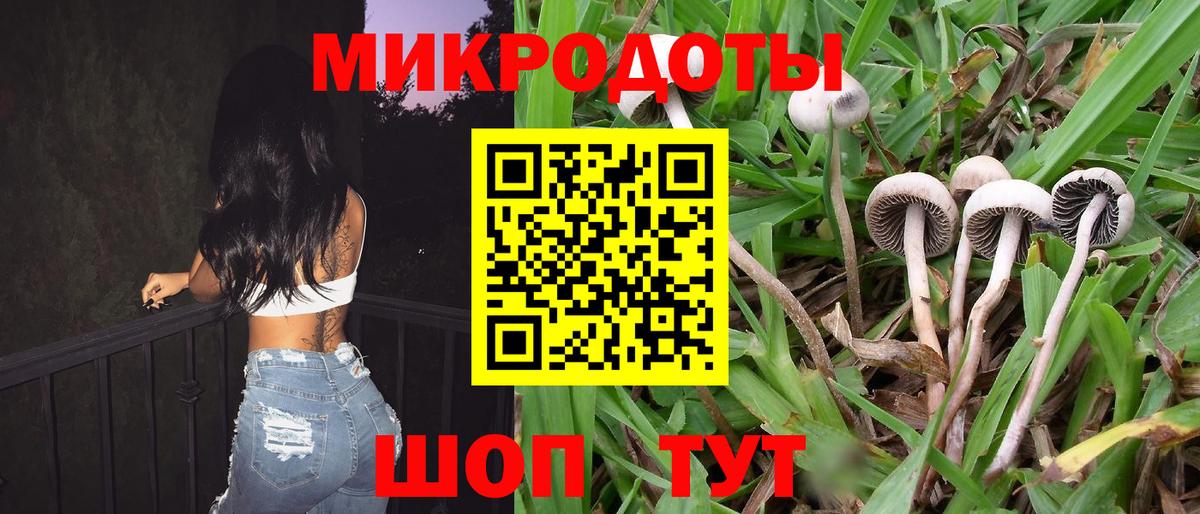 Галлюциногенные грибы Magic Shrooms  Галлюциногенные грибы мухоморы  Ставрополь  Вход с VPN 