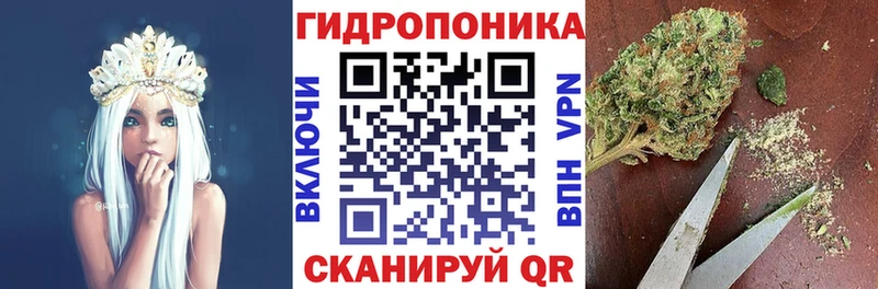 Шишки марихуана индика  Ставрополь 